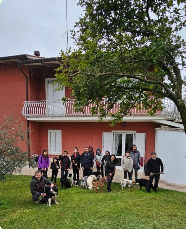 Pace, Luminosita E Comodita A Due Passi Dal Garda Volta Mantovana Ngoại thất bức ảnh