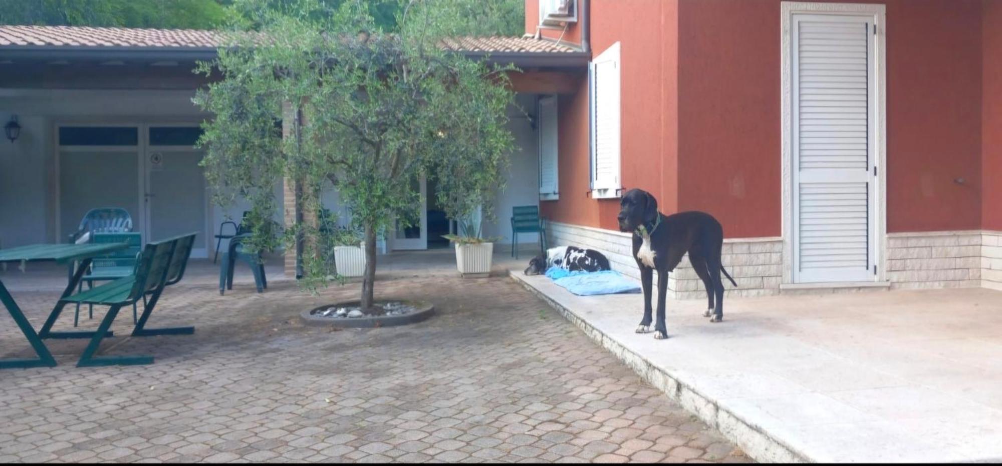 Pace, Luminosita E Comodita A Due Passi Dal Garda Volta Mantovana Ngoại thất bức ảnh
